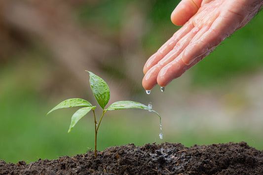 How to promote eco-sustainable living?