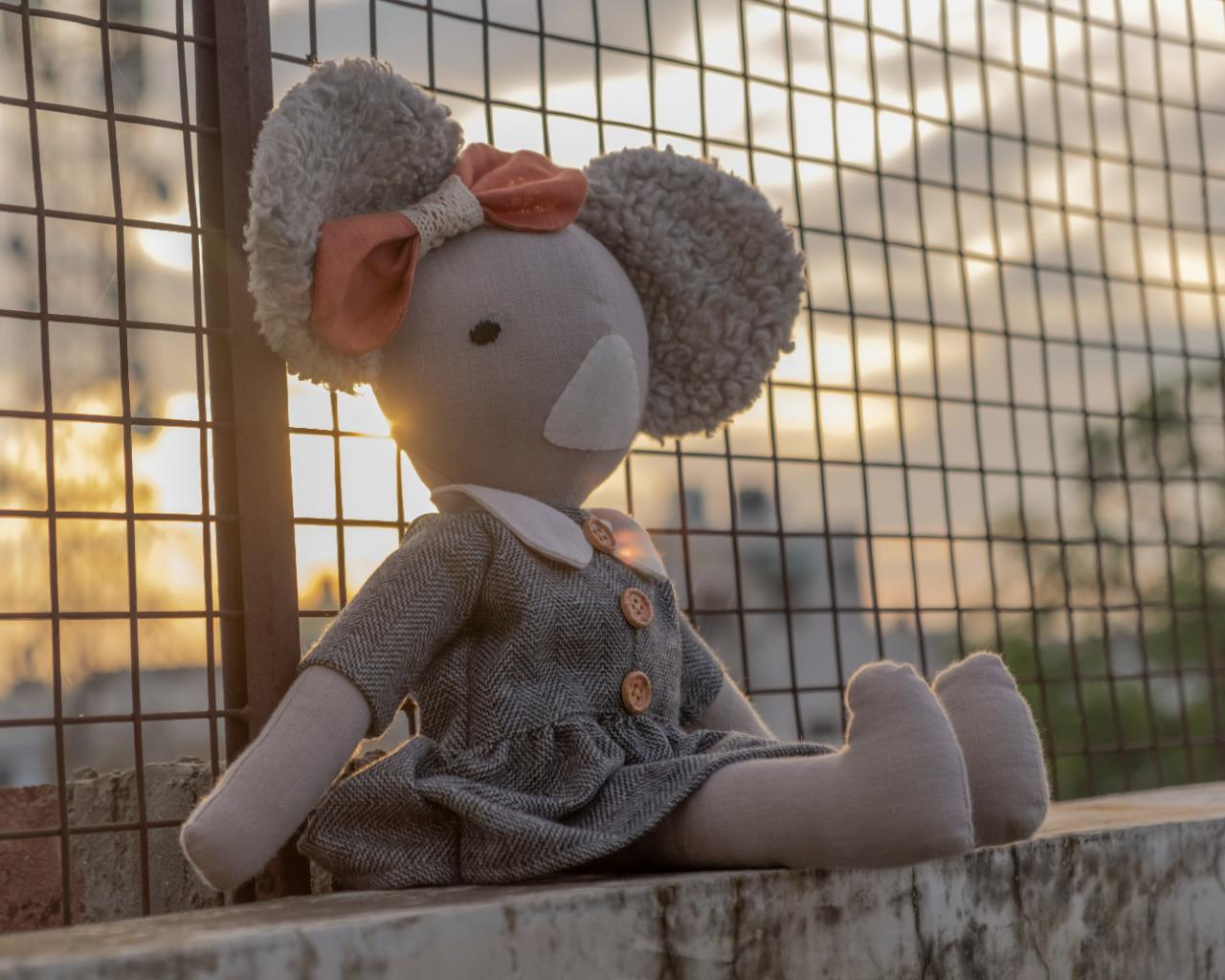 AURORA - The Koala Bear