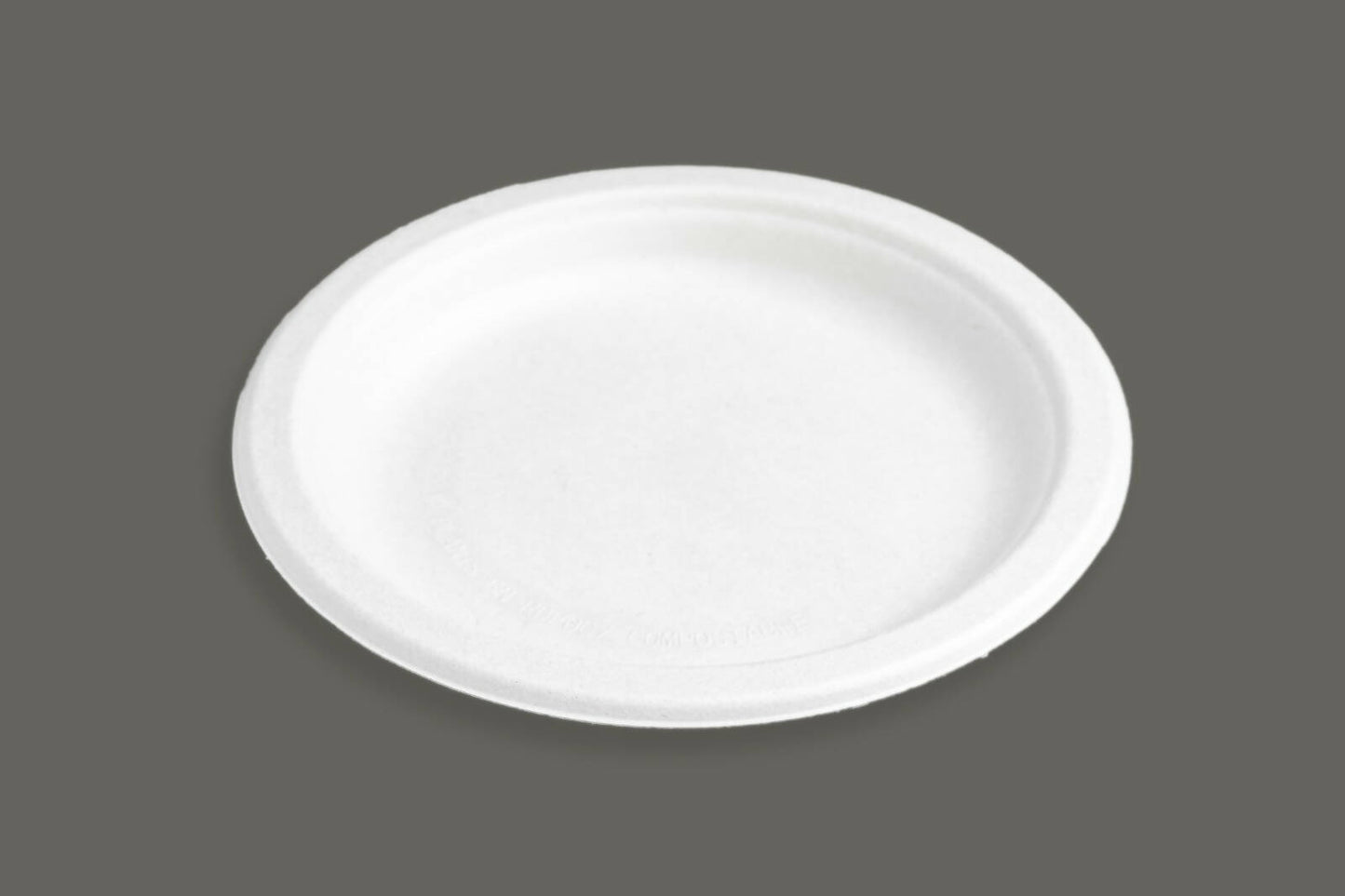 10 INCH PLAIN PLATE