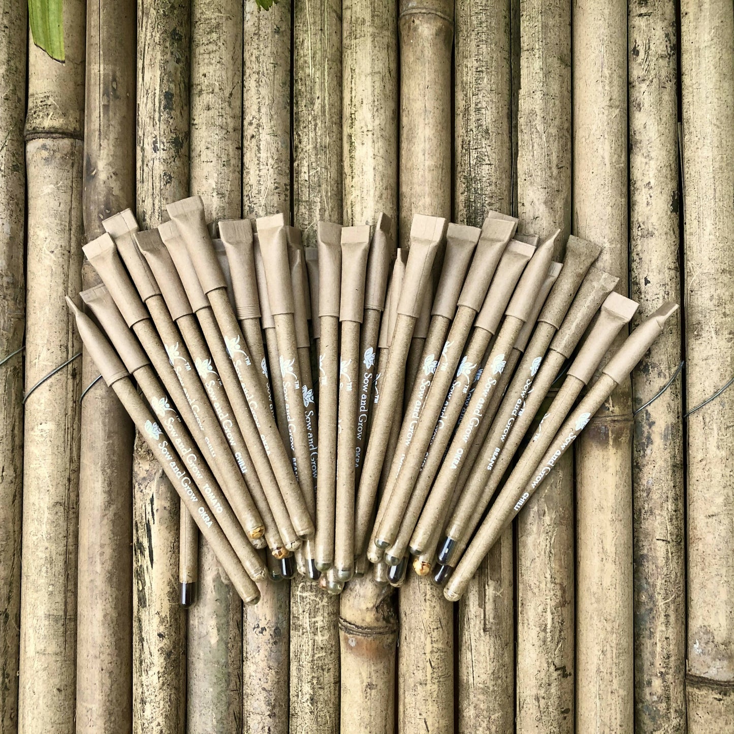 Plantable Seed Pens with Jute Potli Bag Packaging (Pack of 50)