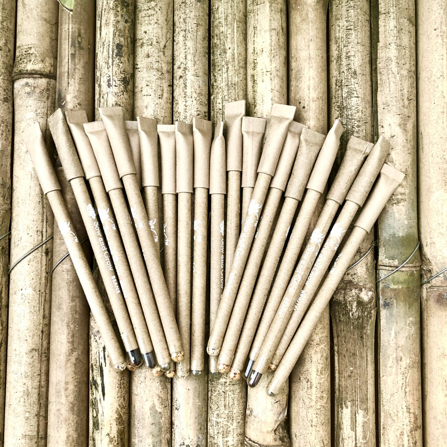 Plantable Seed Paper Pens (Pack of 20)