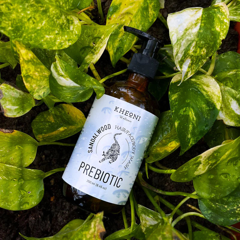 Prebiotics Sandalwood | Hair Wash | Face Wash | Body Wash | Best for Men and Women |Kheoni | 250 ML