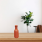 Mini Terracotta Water Bottle