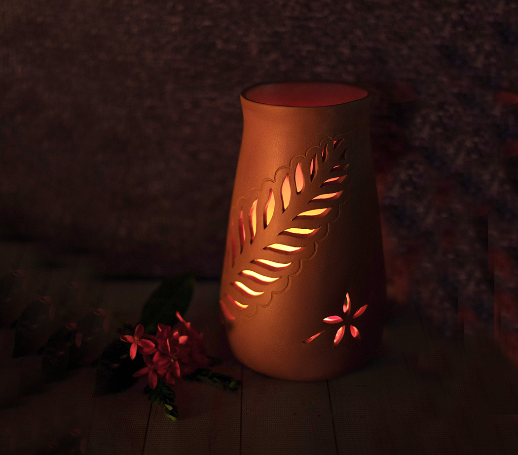 Terra Fern – ECOLO STORE