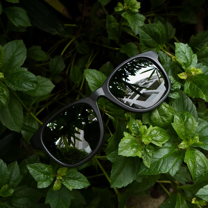 SUNGLASSES - WAYFARERS
