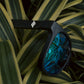 SUNGLASSES - WAYFARERS