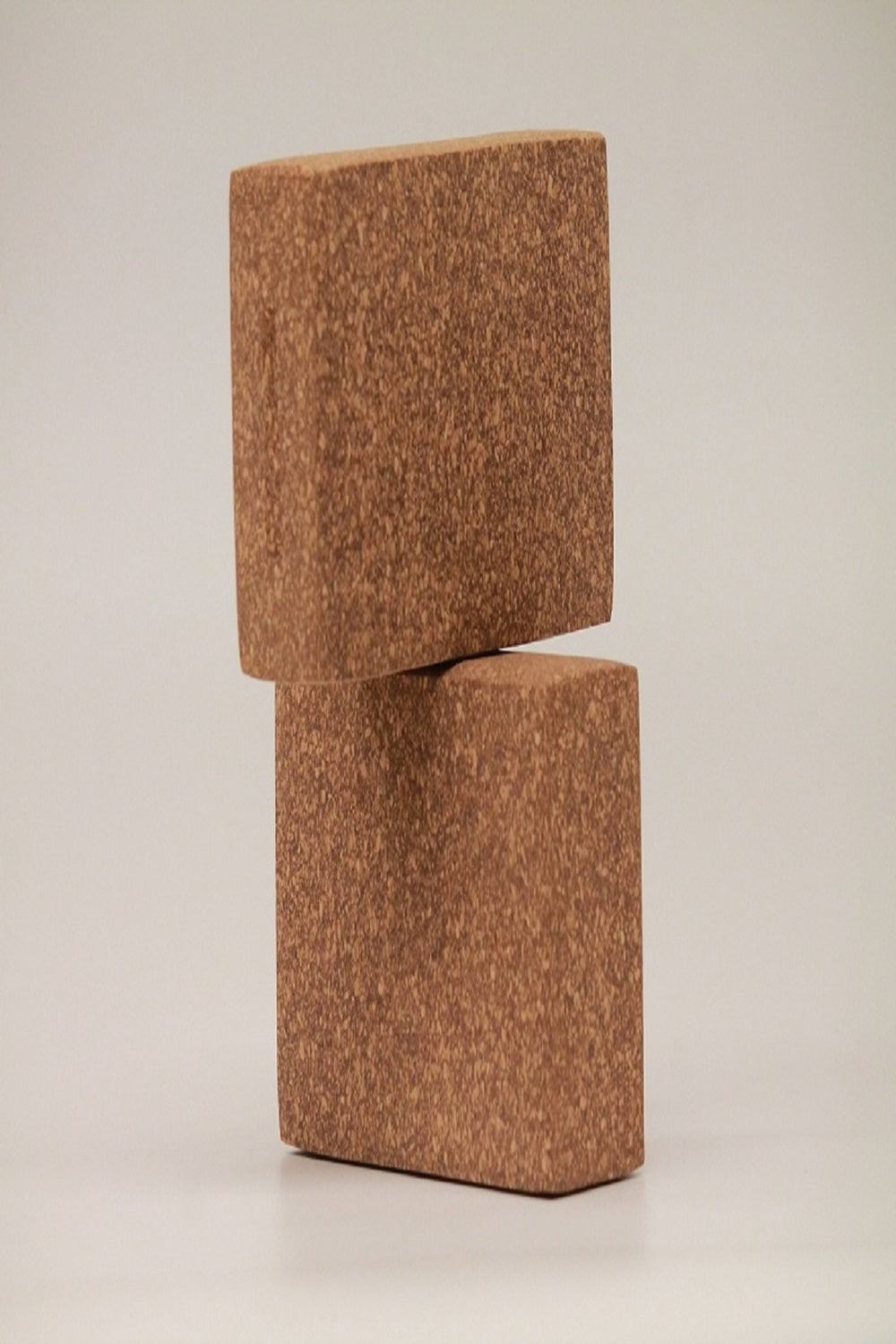 The Cork Yoga Bricks (Set of 2)
