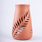 Terra Fern