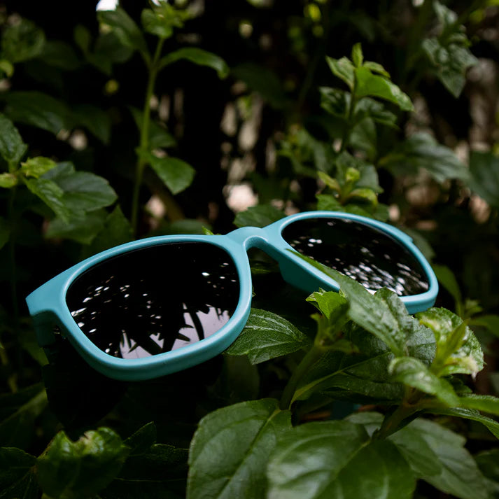 SUNGLASSES - WAYFARERS