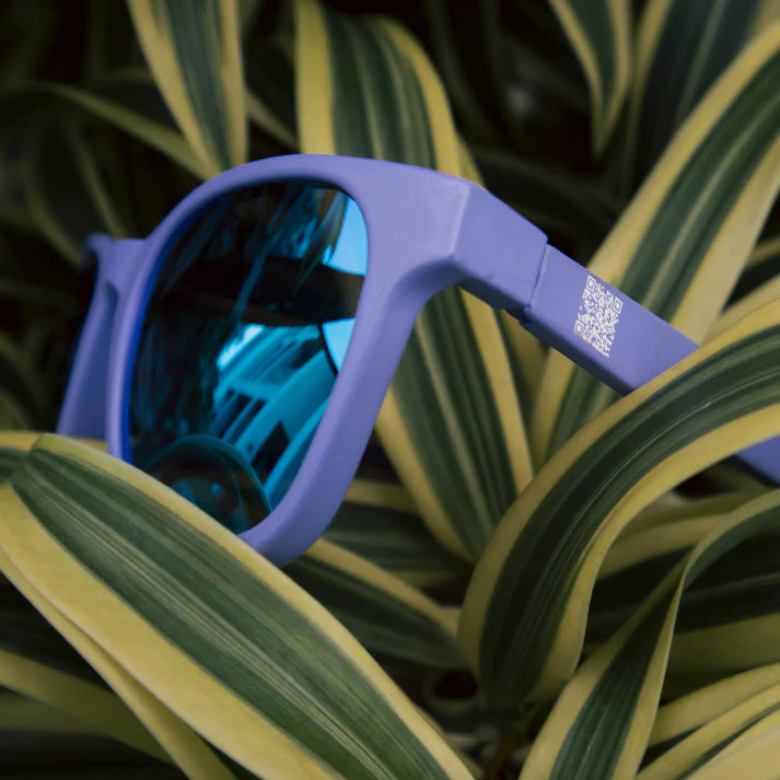 SUNGLASSES - WAYFARERS