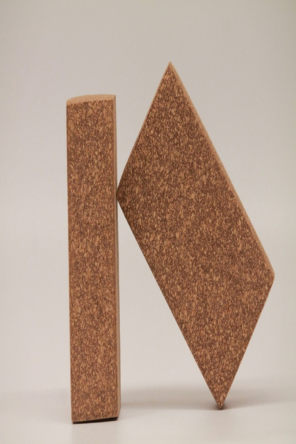 The Cork Yoga Bricks (Set of 2)