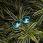 SUNGLASSES - WAYFARERS
