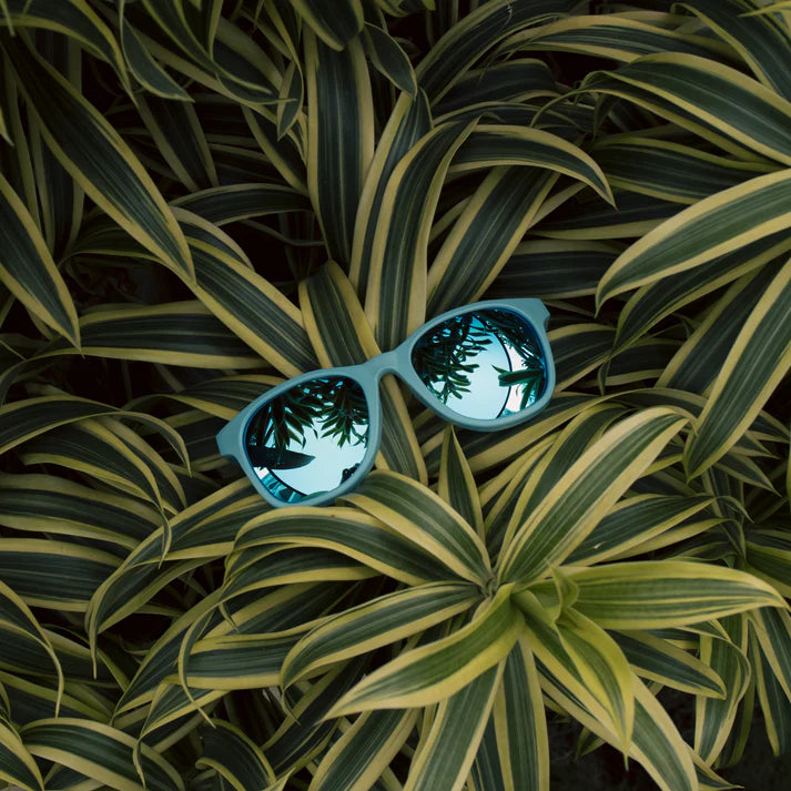 SUNGLASSES - WAYFARERS