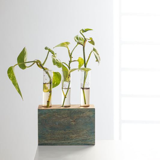 Kashtham Hand Painted Mango Wood Succulent Holder with3 Test Tubes