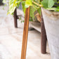 Shoe Horn