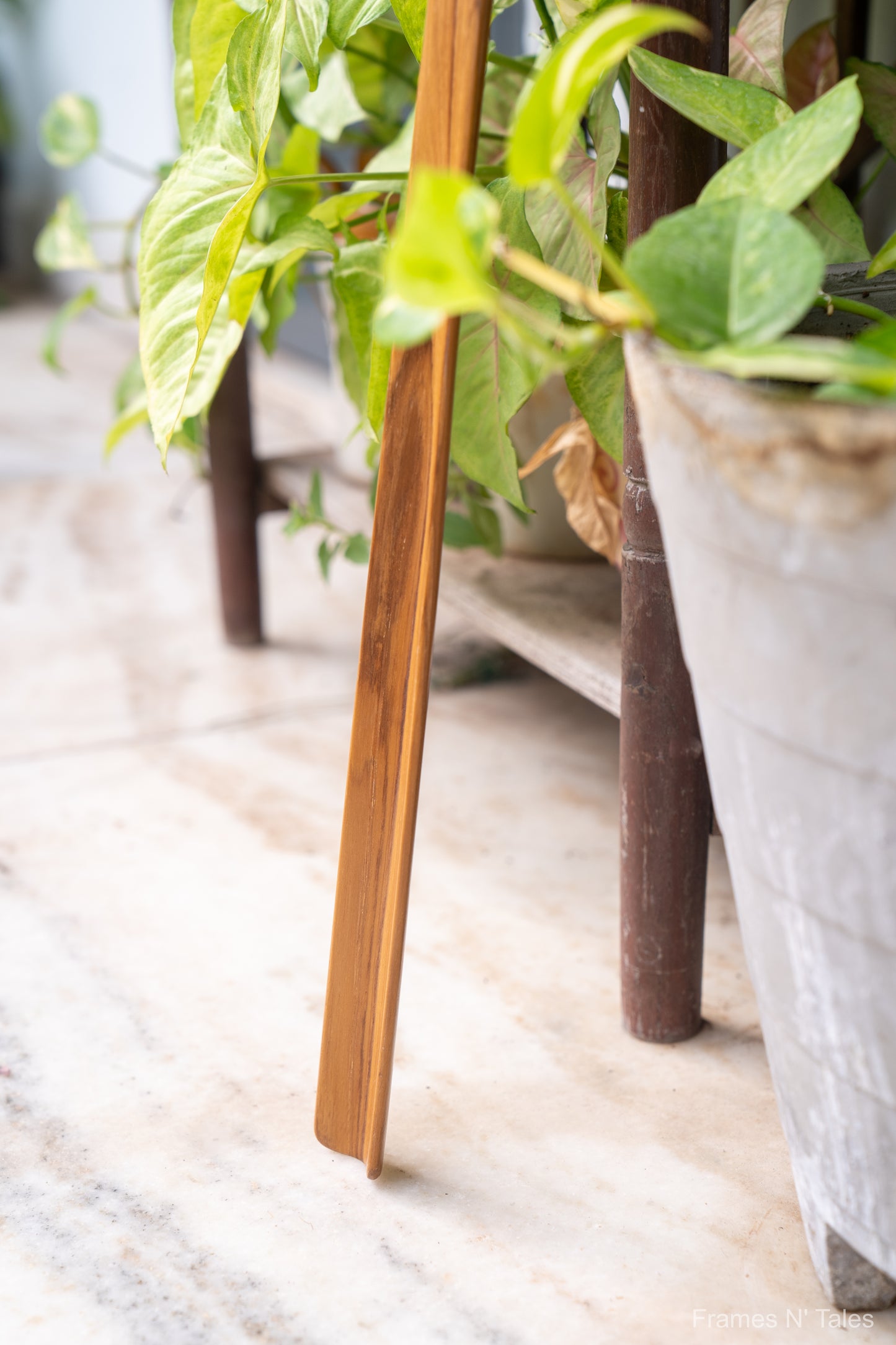Shoe Horn