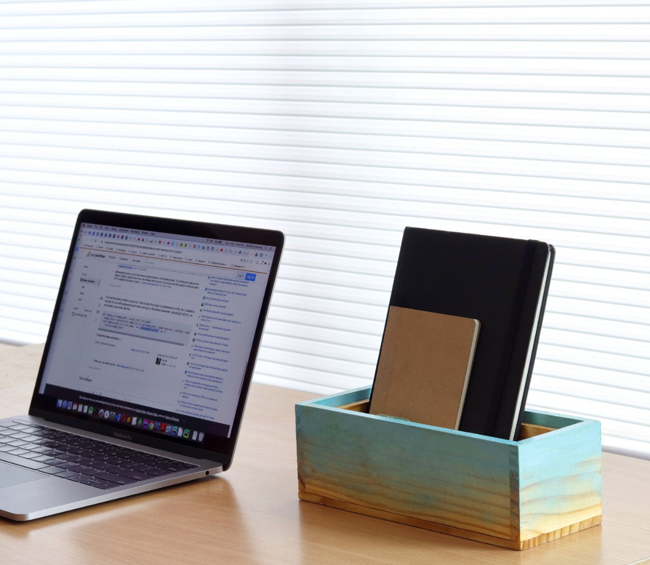 "SKY IS FALLING"  Hand Painted Wooden Desk Organizer