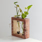Apaiser Mango Wood Succulent Holder with 2 Test tubes