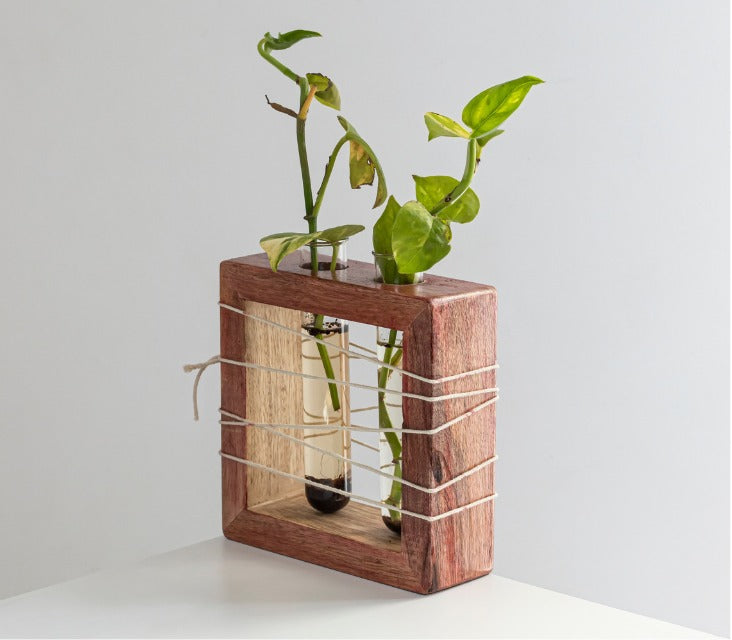 Apaiser Mango Wood Succulent Holder with 2 Test tubes