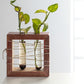 Apaiser Mango Wood Succulent Holder with 2 Test tubes