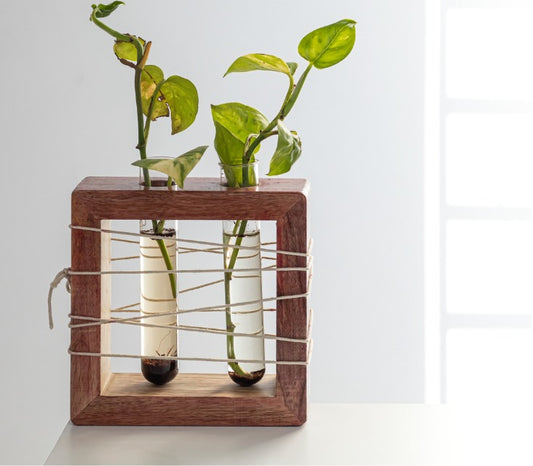 Apaiser Mango Wood Succulent Holder with 2 Test tubes