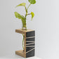 Prakriti Mango Wood Succulent Holder with 1 Test tube