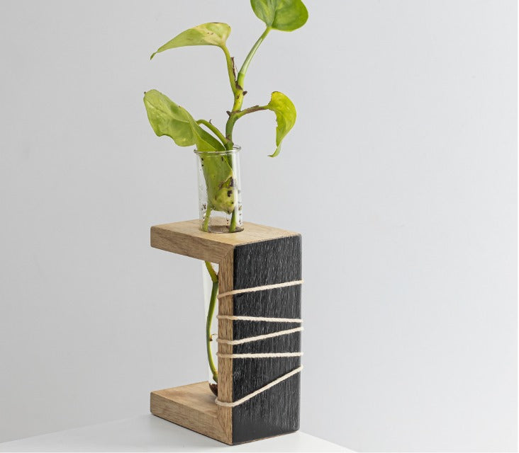 Prakriti Mango Wood Succulent Holder with 1 Test tube