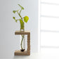 Prakriti Mango Wood Succulent Holder with 1 Test tube
