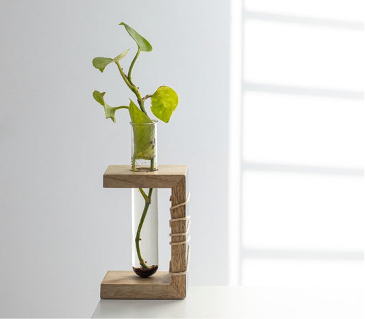 Prakriti Mango Wood Succulent Holder with 1 Test tube