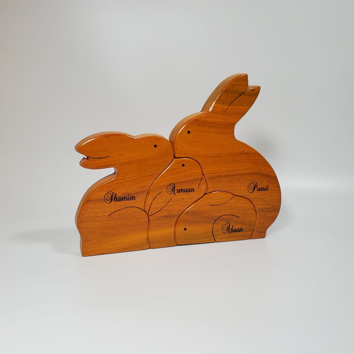 Rabbit Family With Two Kids
