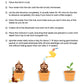 7.5" Seed Ganapathy | With Grow bag, Cocopeat & Extra seeds