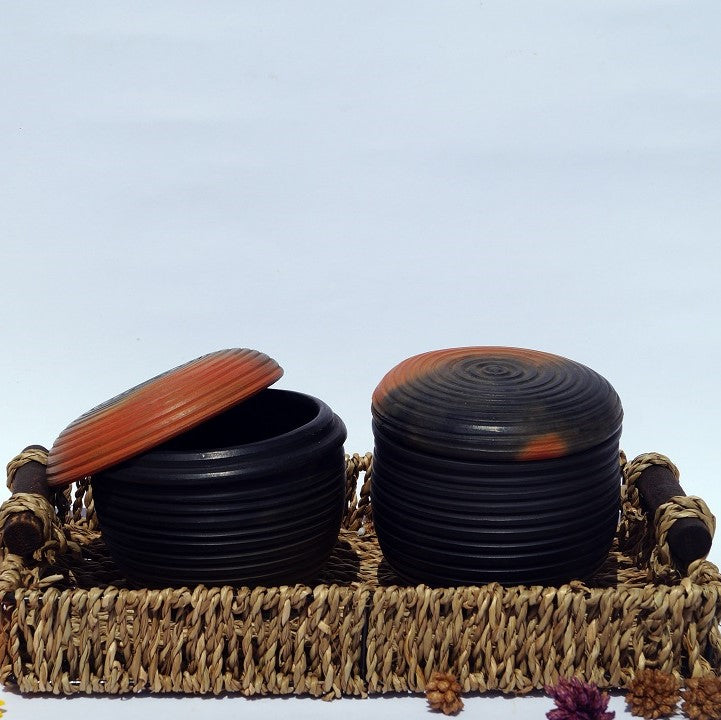 Dry Fruit Container with Lid (Food, Oven and Microwave Safe)