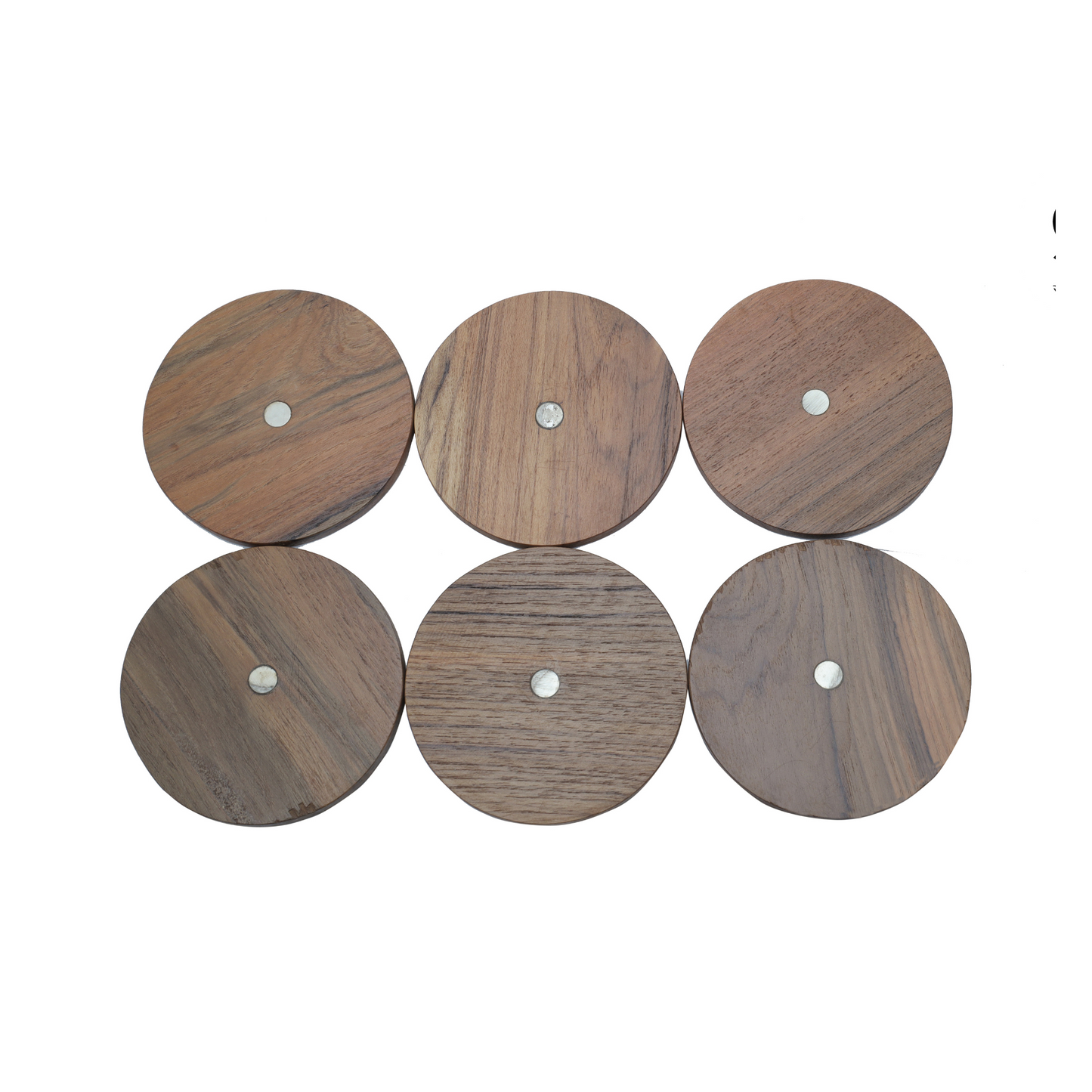 Frog Coasters