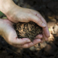 Forest Bathing Natural Skin Lotion