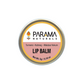 Natural LIP Balm