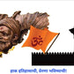 मराठा साम्राज्याची गौरवगाथा