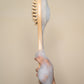 Organic B Cellulite Bristle Bath Brush | Bath Brush 2 In 1