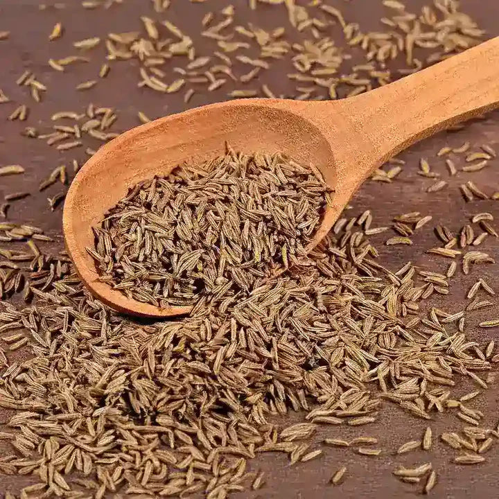 Organic Cumin Whole (100 Grams)