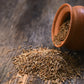 Organic Cumin Whole (100 Grams)