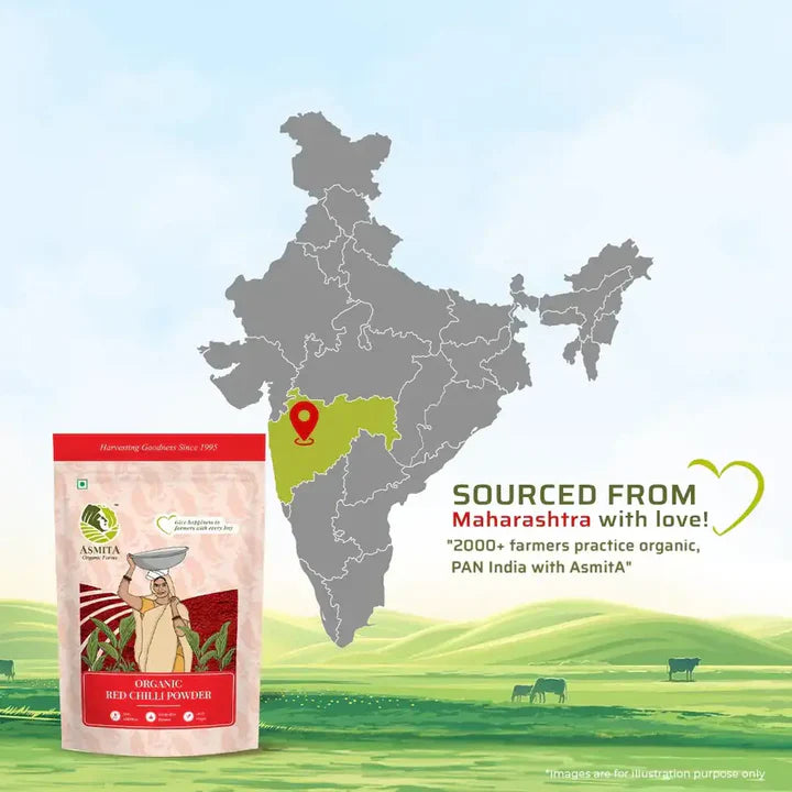 Organic Red Chilli Powder (100 Grams)