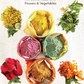 Phulwa Natural Gulaal (Party Pack - 75g x 4)