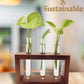 Test Tube Planter with Wooden Holder