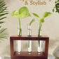 Test Tube Planter with Wooden Holder
