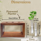 Test Tube Planter with Wooden Holder