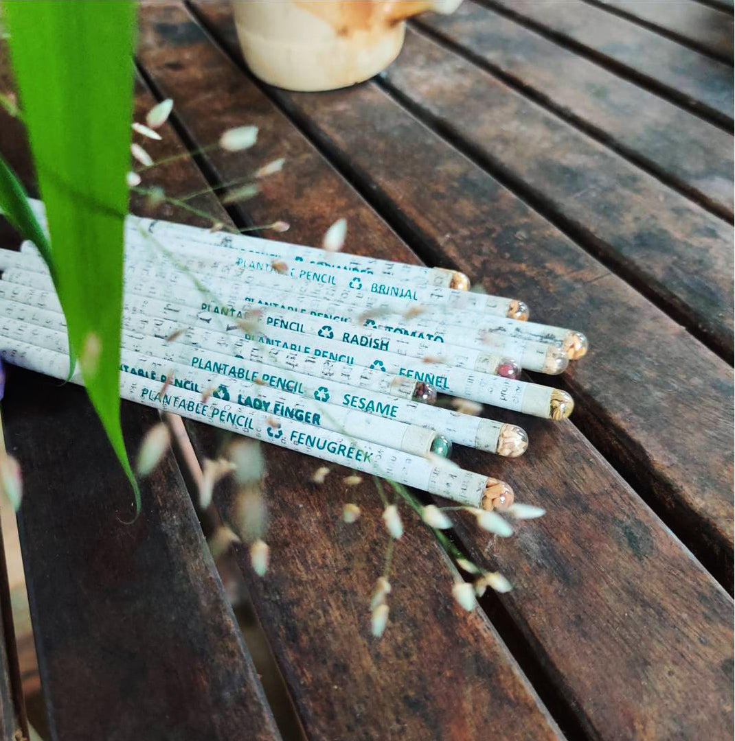 Recycled News Paper Plantable Seed COLOUR Pencils| Pack of 10