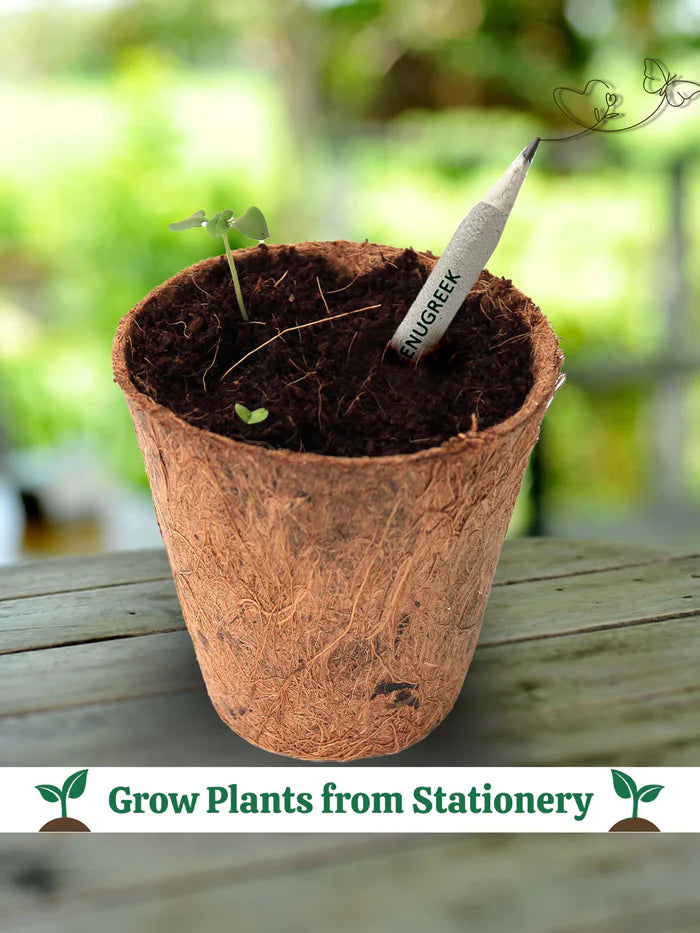 Plantable Stationery - Seed Diary, Seed Pens & Pencils in Zipper Pouch (Evil Eye Print)