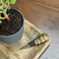 Ullook Wine Stopper