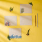 Samudra Hemp Paper Note Cards | Set of 5 Notecards and Envelopes