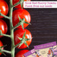 Red Cherry Tomato Seeds