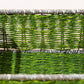Declutter in Style with Grass Basket